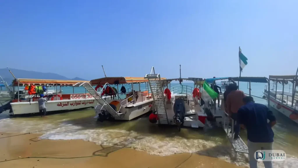 Khorfakkan beach shark island boats
