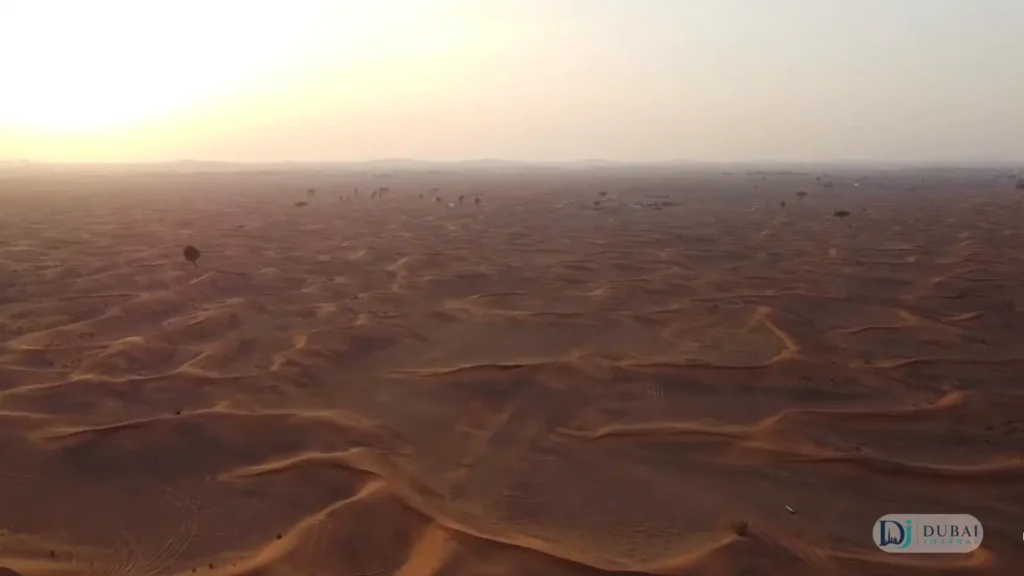 Desert dunes glowing at golden hour near Al Madam
