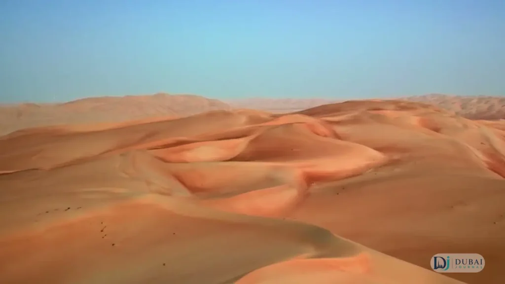 Desert safari in Dubai