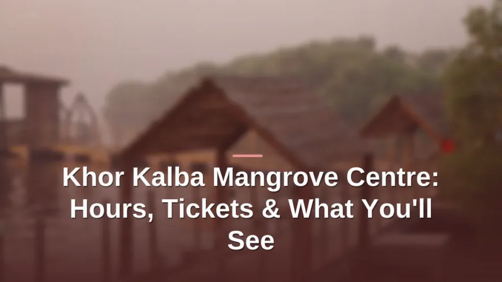 Khor kalba mangrove centre