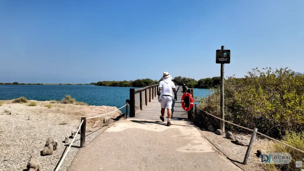 Mangrove Trail signboard at the boardwalk entrance, Khor Kalba