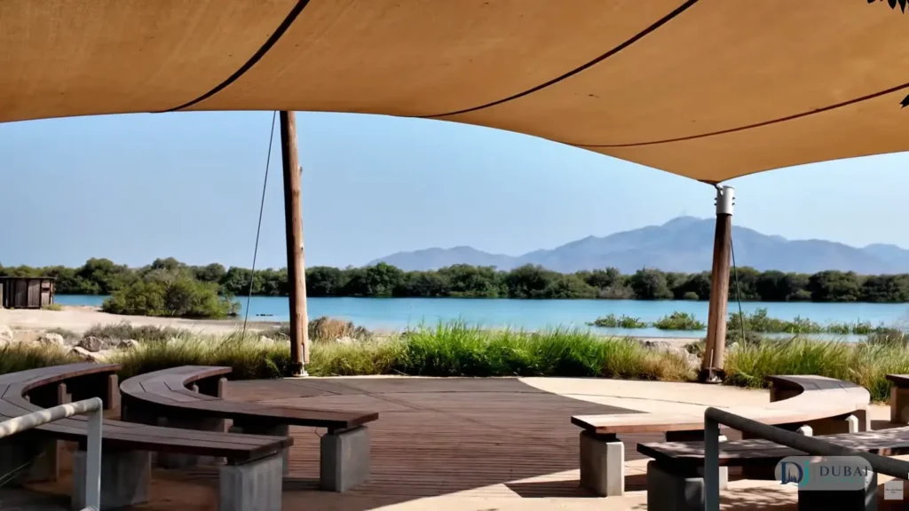 Shaded rest pavilion with lagoon view, Khor Kalba Mangrove Centre