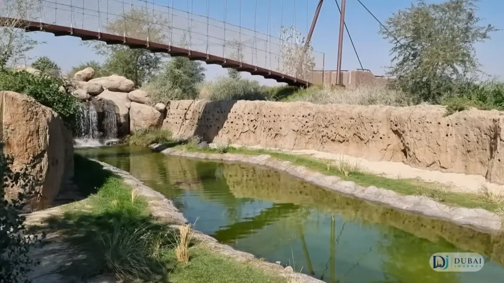 Sharjah Safari view