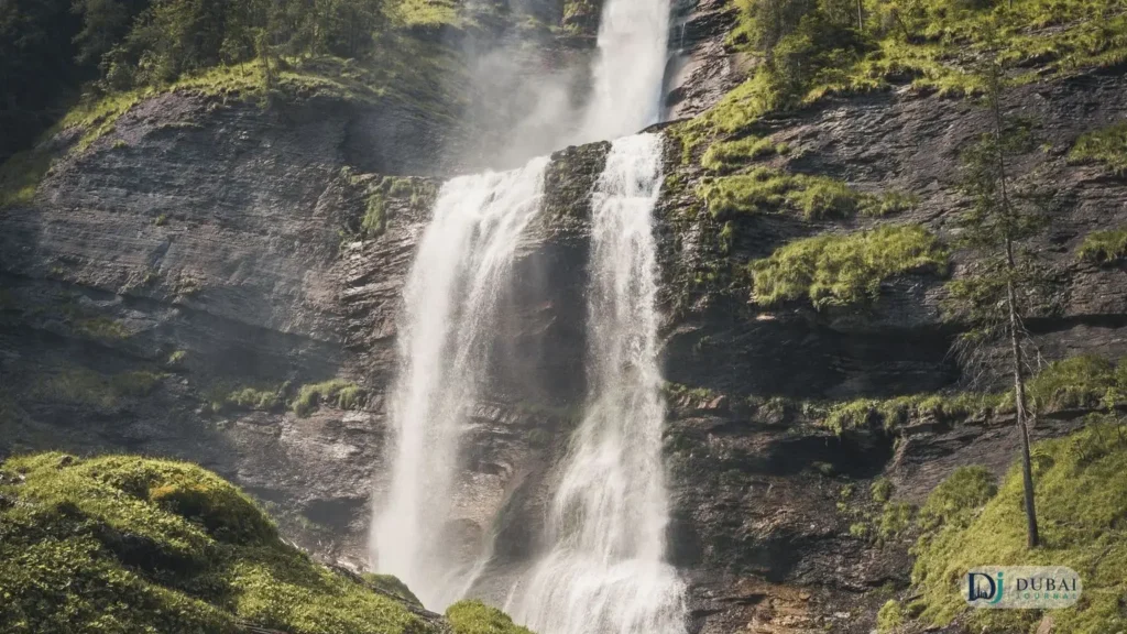 Waterfall at Shees Park
